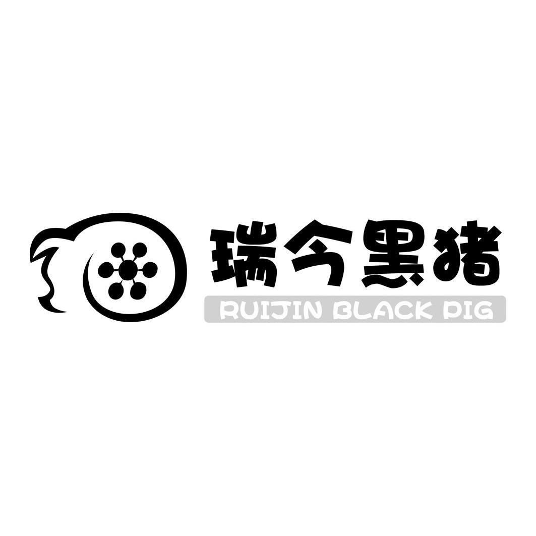 商标名称:瑞今黑猪 ruijin black pig 注册号:10311039 类别:31-新鲜