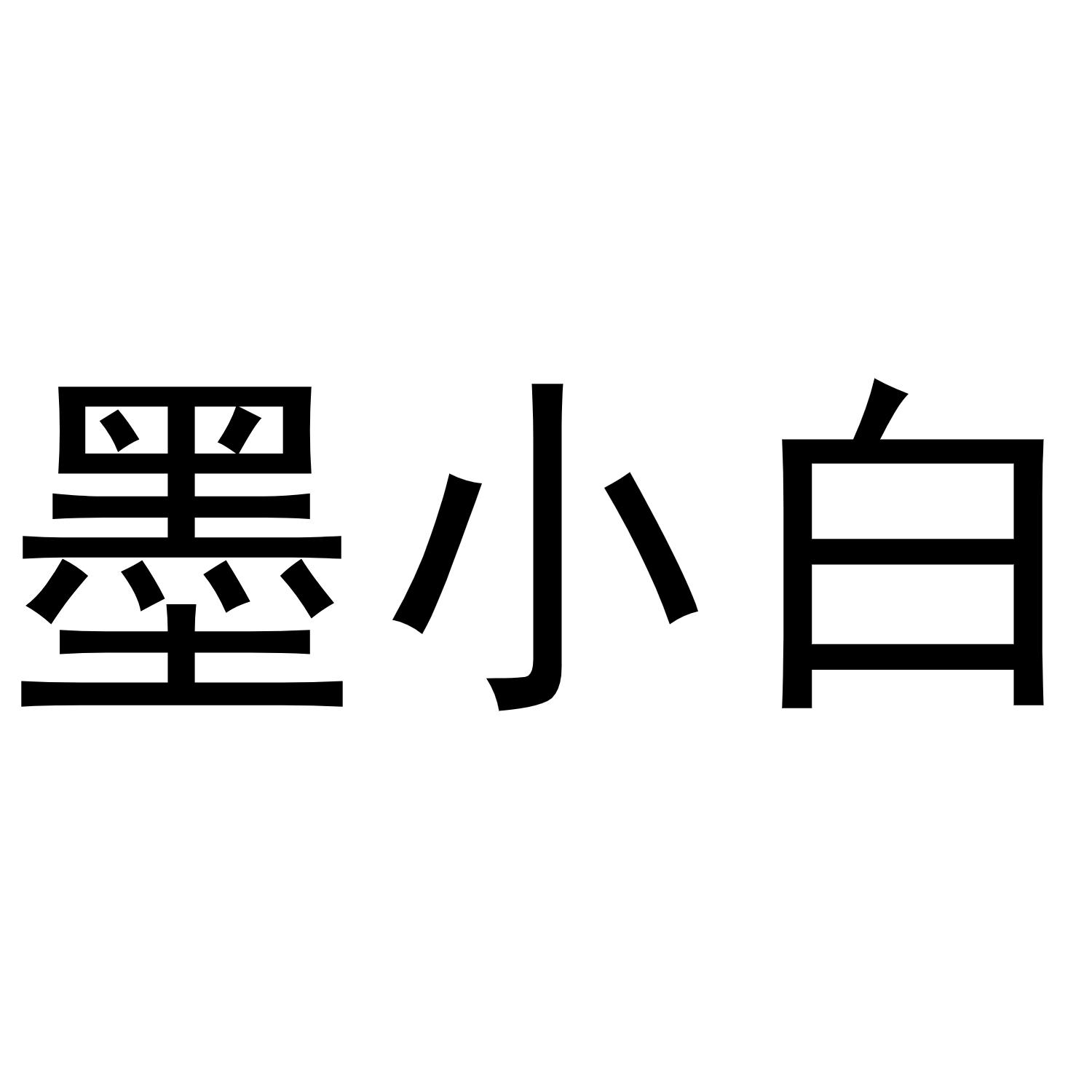 2021-11-06枣庄墨小白电子商务有限公司枣庄墨小46041