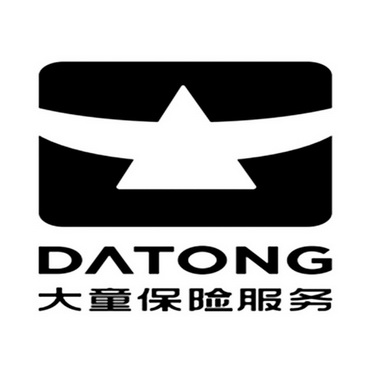 大童保险服务 datong