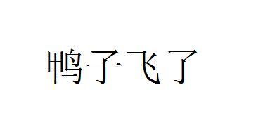 鸭子飞了
