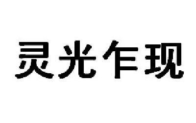 淄博灵光乍现技术创新咨询顾问有限公司