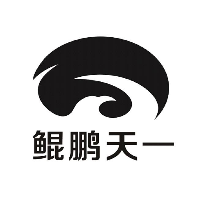 鲲鹏天一