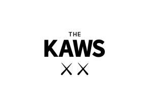 thekawsxx