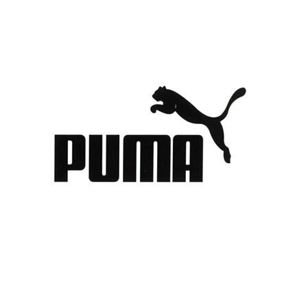puma_注册号17695010_商标注册查询 - 天眼查