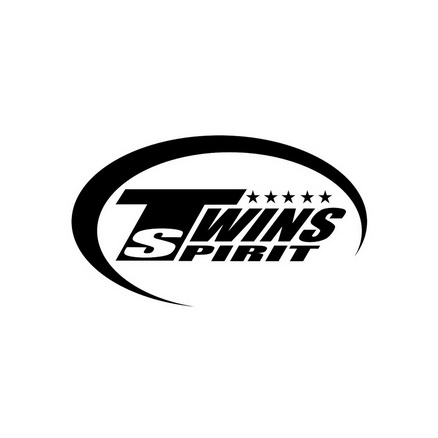 twins spirit