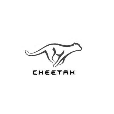 cheetah简笔画图片