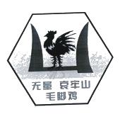 无量哀牢山毛脚鸡