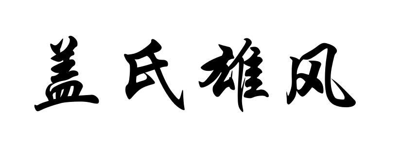 盖氏雄风