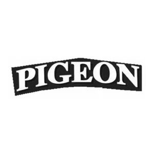 pigeon