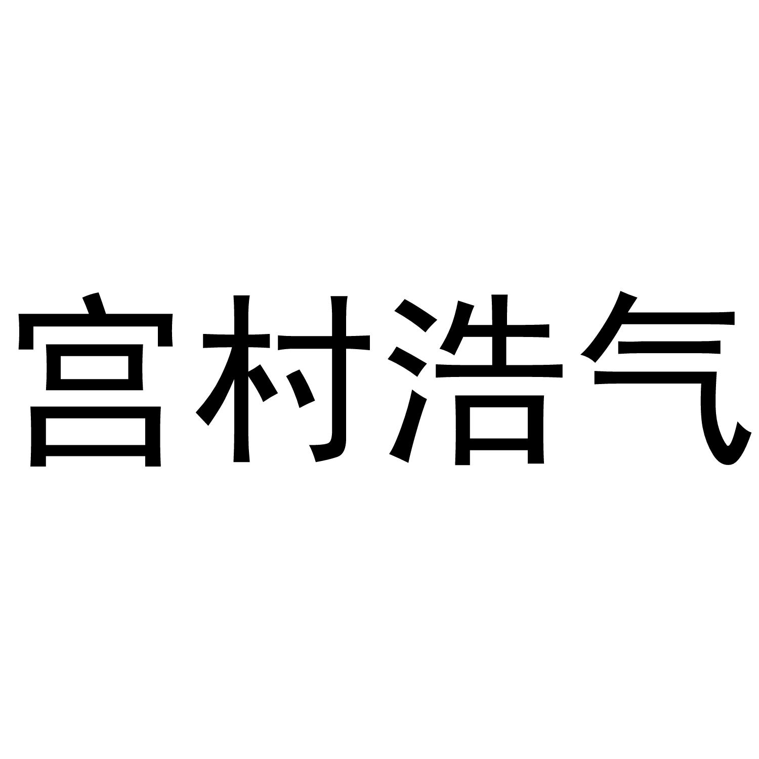 宫村浩气