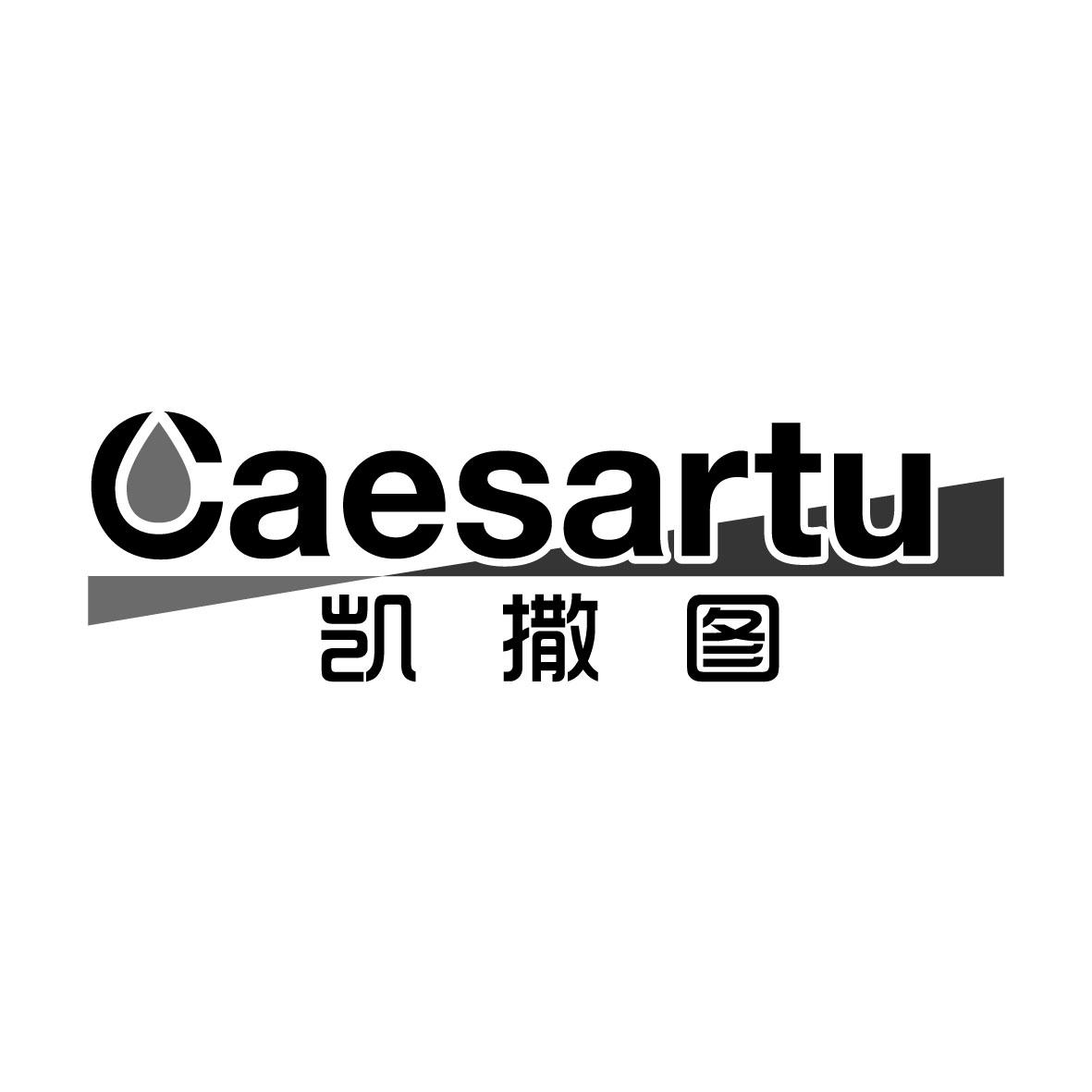 广州藏知品牌管理有限公司商标凯撒图 CAESARTU（16类）商标转让流程及费用商标图样1