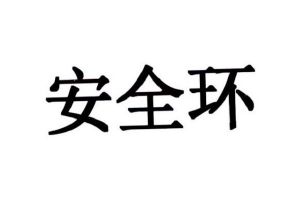 安全环