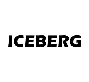iceberg