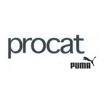 procat puma_註冊號21185698_商標註冊查詢 - 天眼查