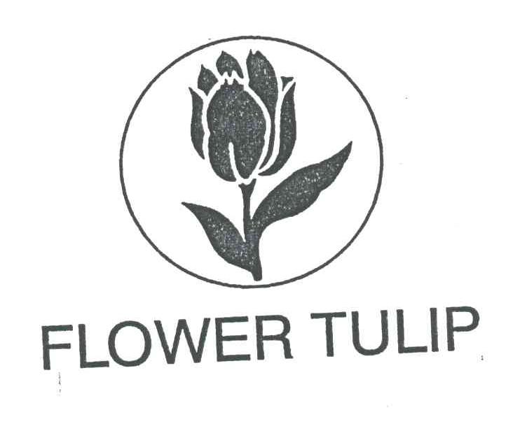 郁金香花;flower tulip