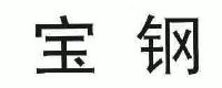 宝钢_注册号3619256_商标注册查询 - 天眼查