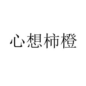 心想柿橙