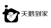 天鹅到家