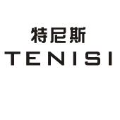 深圳市特尼斯科技有限公司