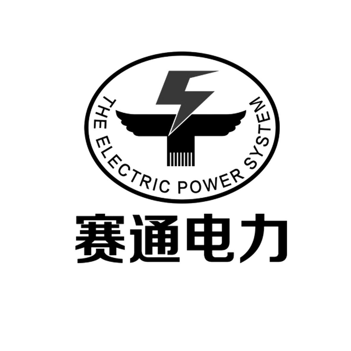 賽通電力 the electric power system