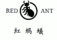 红蚂蚁redant