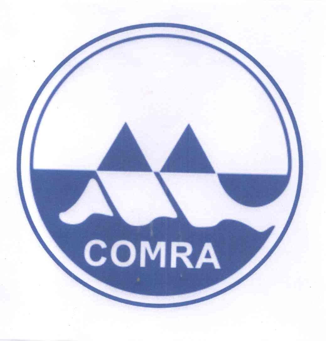 大洋网站建设美丽_(大洋网国际 百家号)