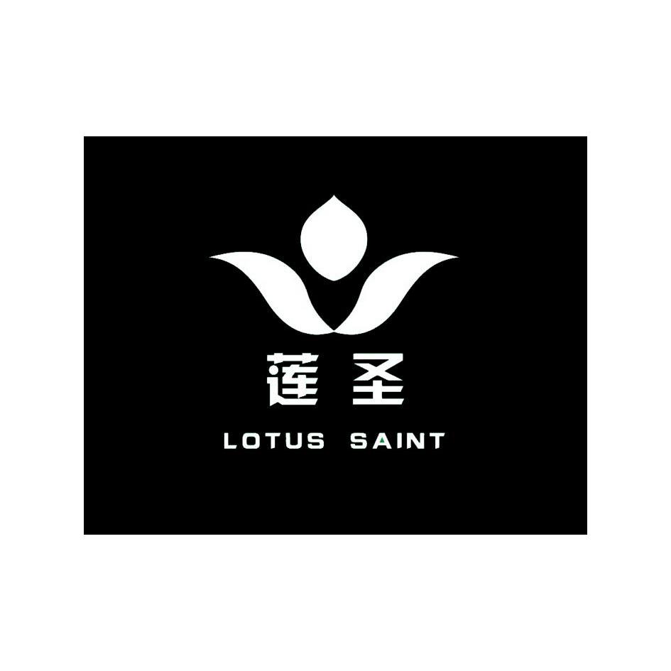 莲圣lotus saint
