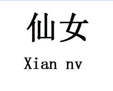 仙女