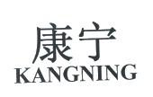安徽省康宁实业
