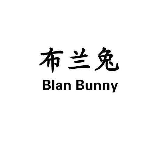 布兰兔 blan bunny