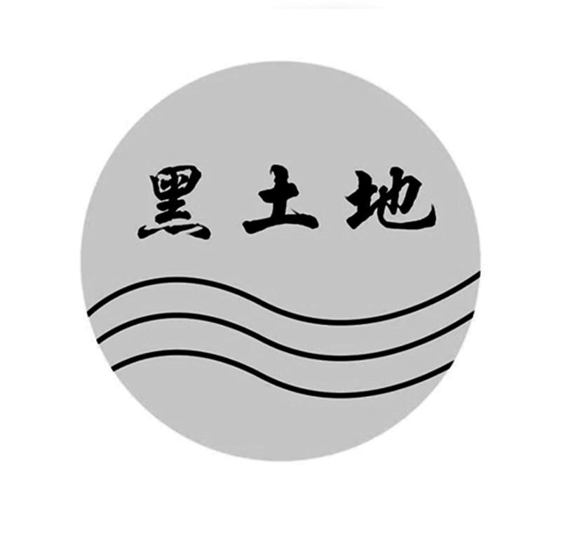 伊犁万亨商地资产管理有限责任公司_商标信息_公司商标信息查询 - 天