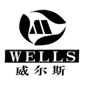 威尔斯 wells m