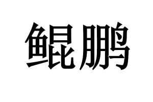 在手機上查看商標詳情