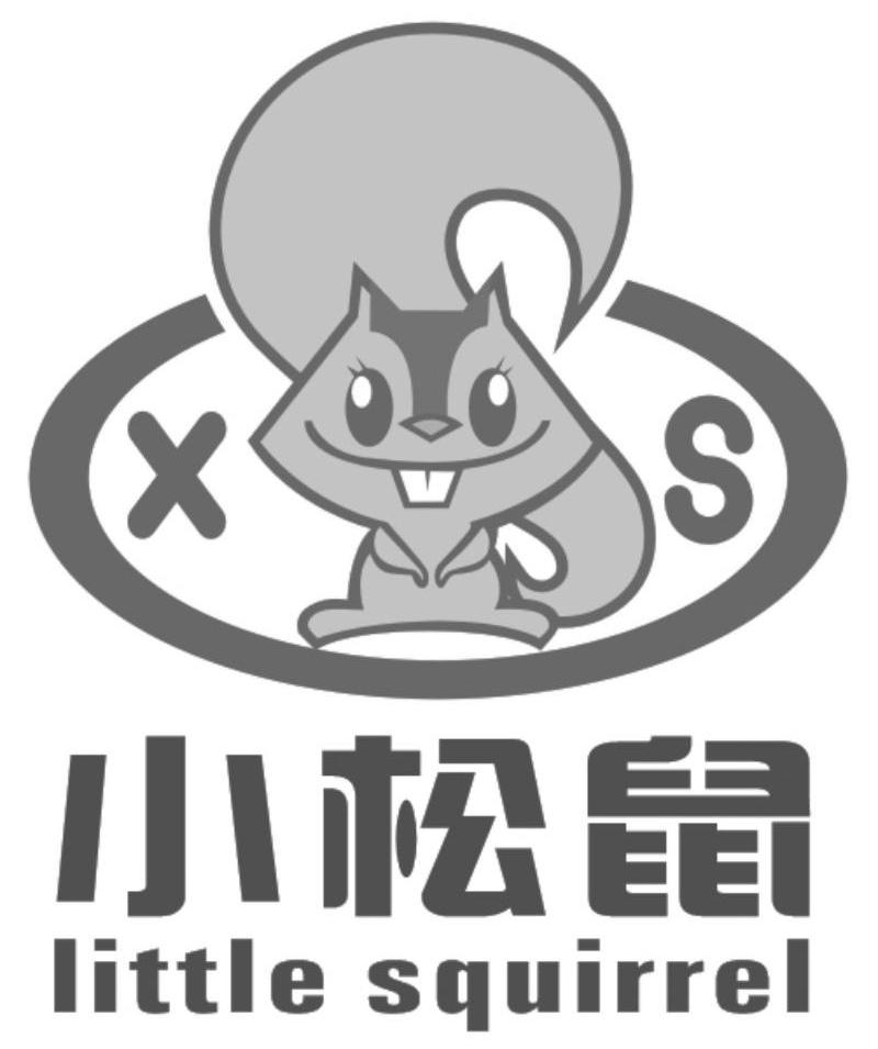 衣服的LOGO是一只松鼠图片