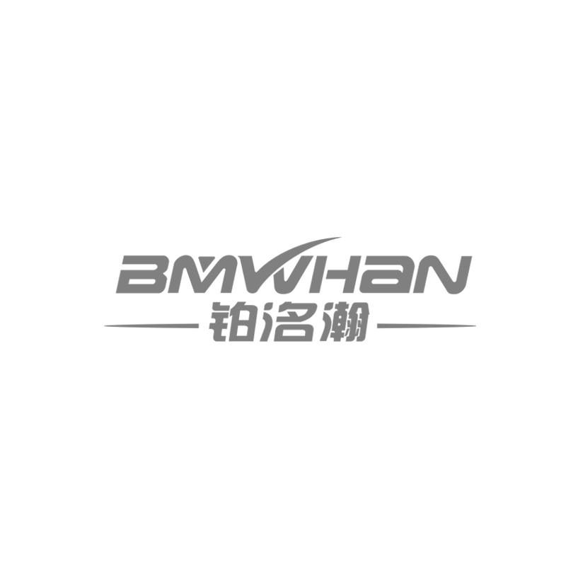 铂洺瀚;bmvvhan