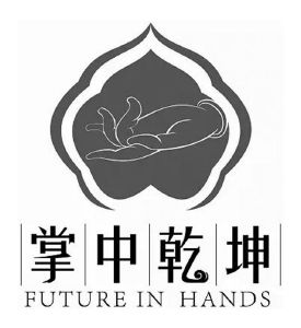 掌中乾坤 future in hands