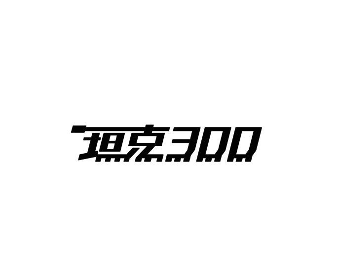 坦克;300;300