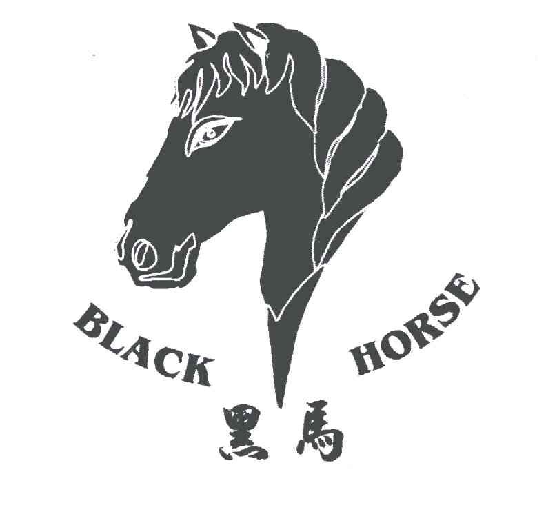  em>黑马 /em>