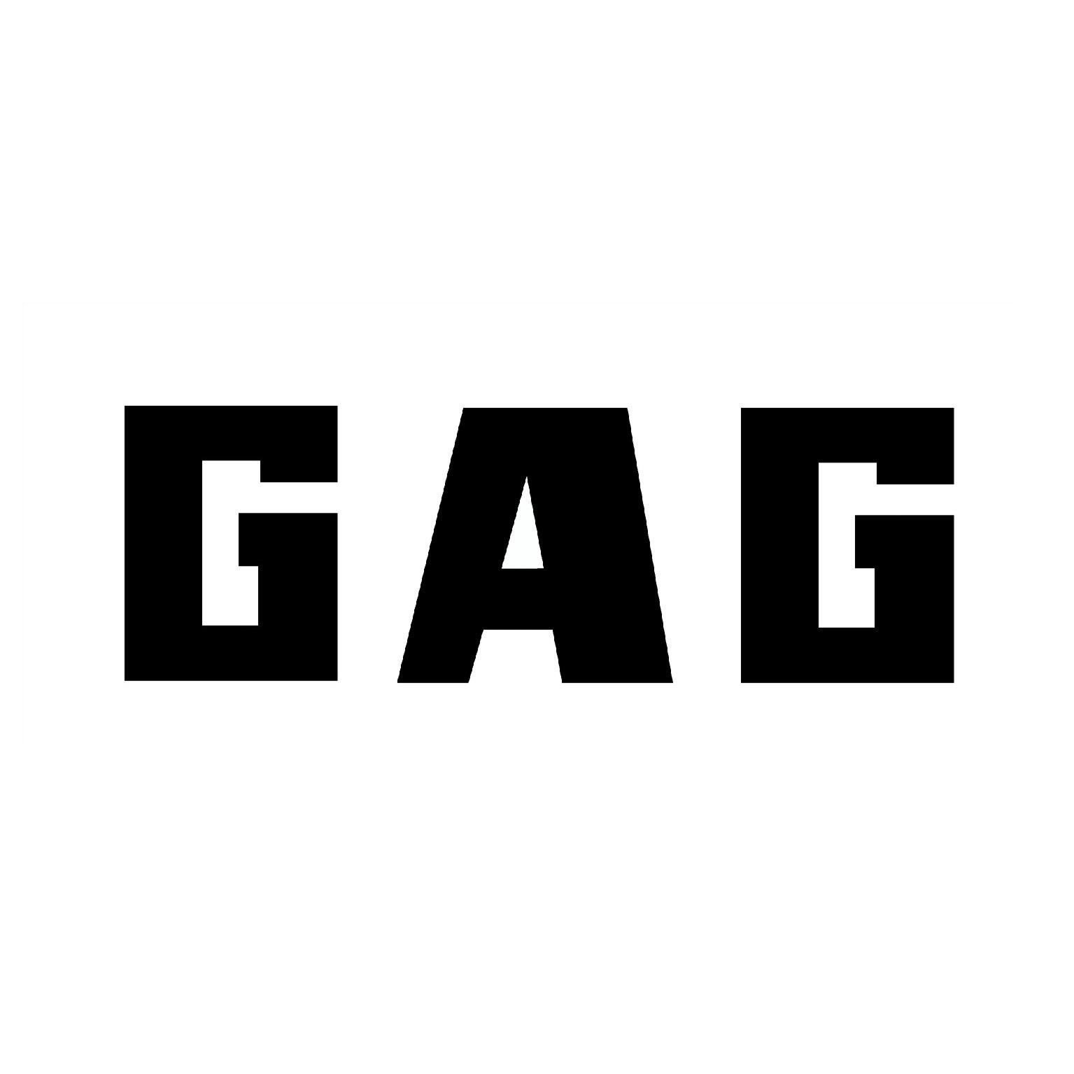 德国舍弗特集团轴承有限公司_2018年企业商标大全_商标信息查询-天眼