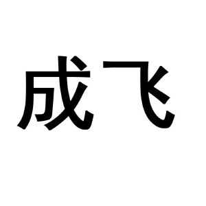 成飞