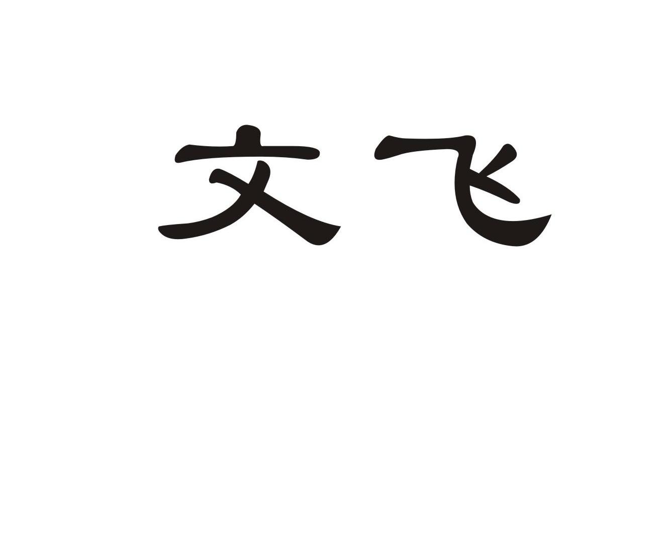 文飞