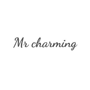 王赛商标MR CHARMING（18类）商标买卖平台报价，上哪个平台最省钱？