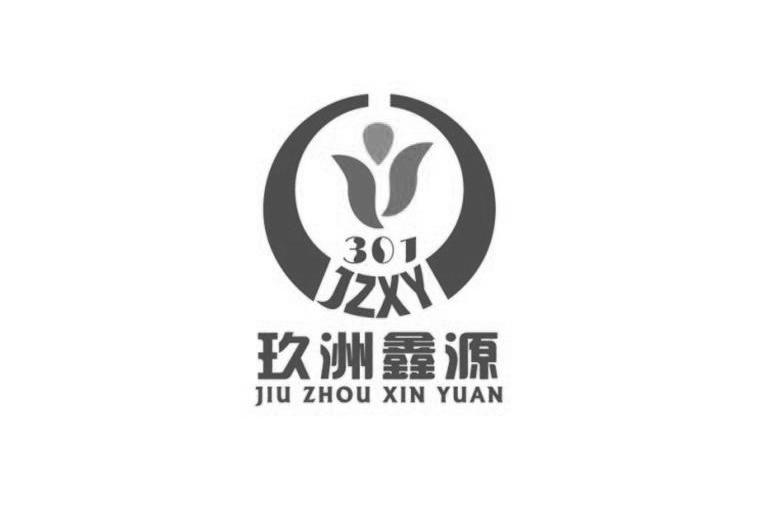 玖洲鑫源 jzxy 301