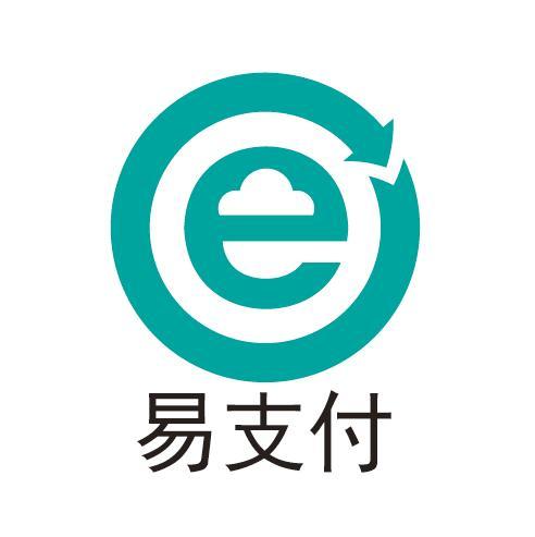 易支付搭建：新时代企业运营的新钥匙