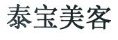 日本泰宝美客控股株式会社