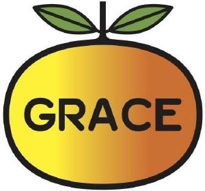 grace怎么读图片