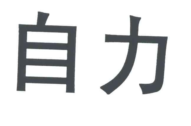 浙江自力建設集團有限公司