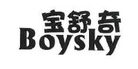 宝舒奇 boysky