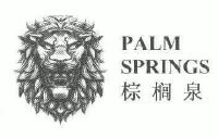 棕榈泉;palm springs