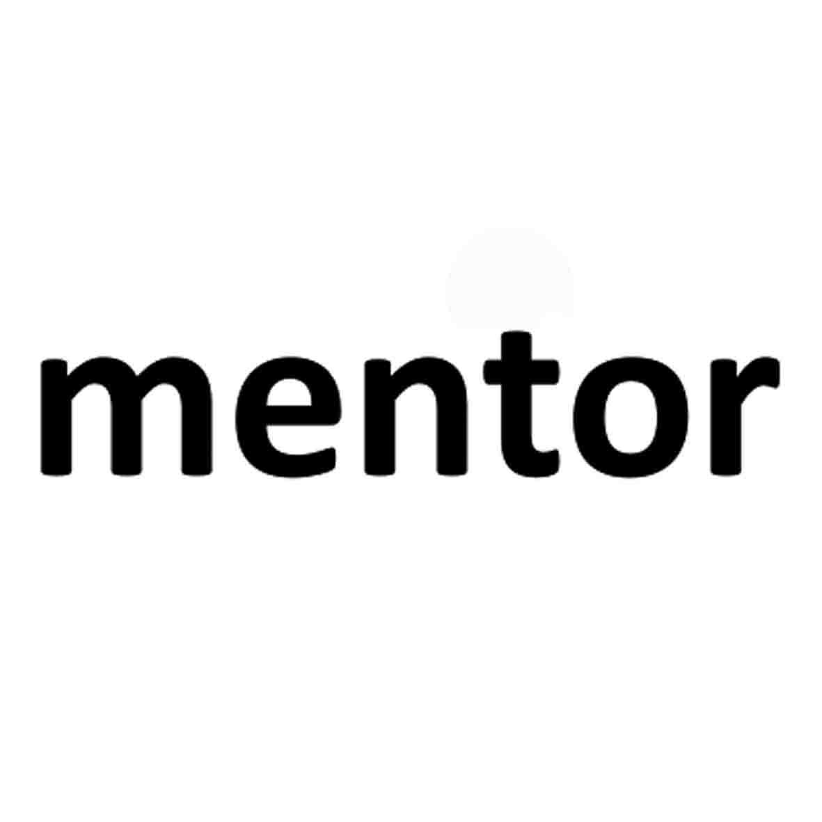 mentor box图片